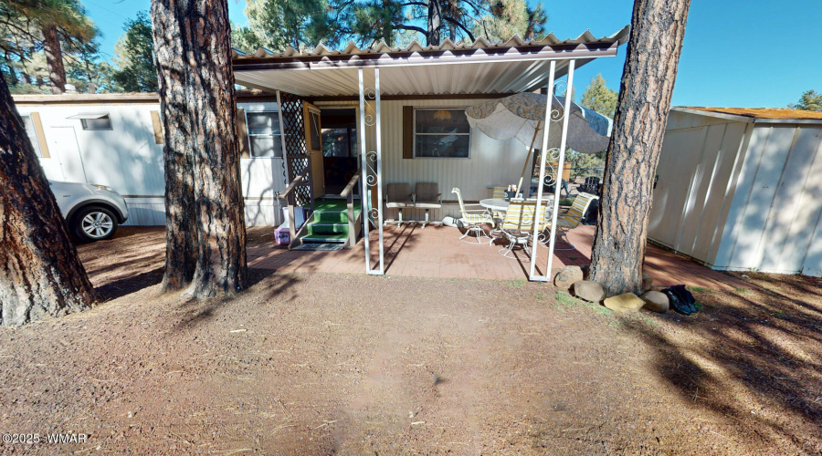 4231-W-Willis-11142025_132844