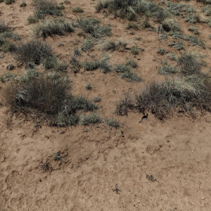 DJI_20250516113555_0085_D