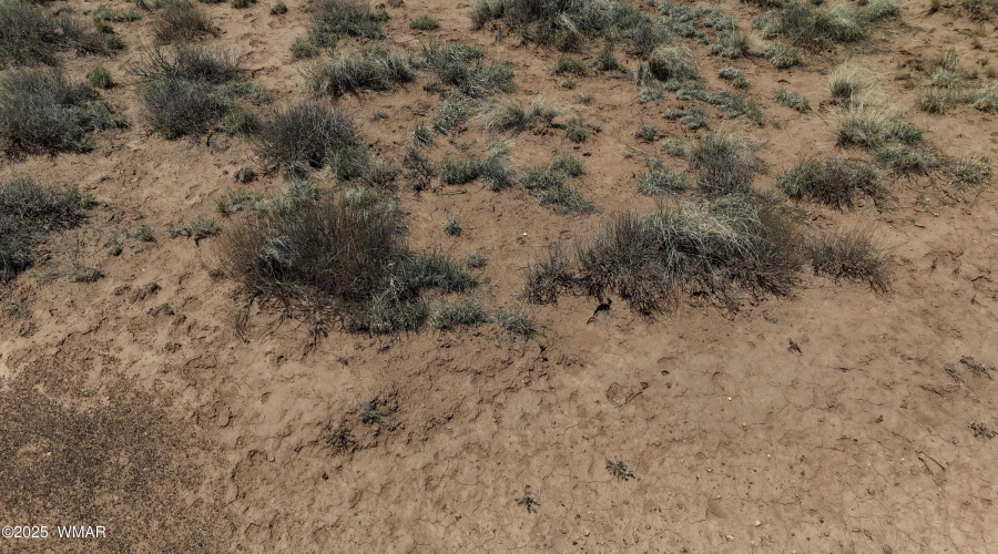 DJI_20250516113555_0085_D