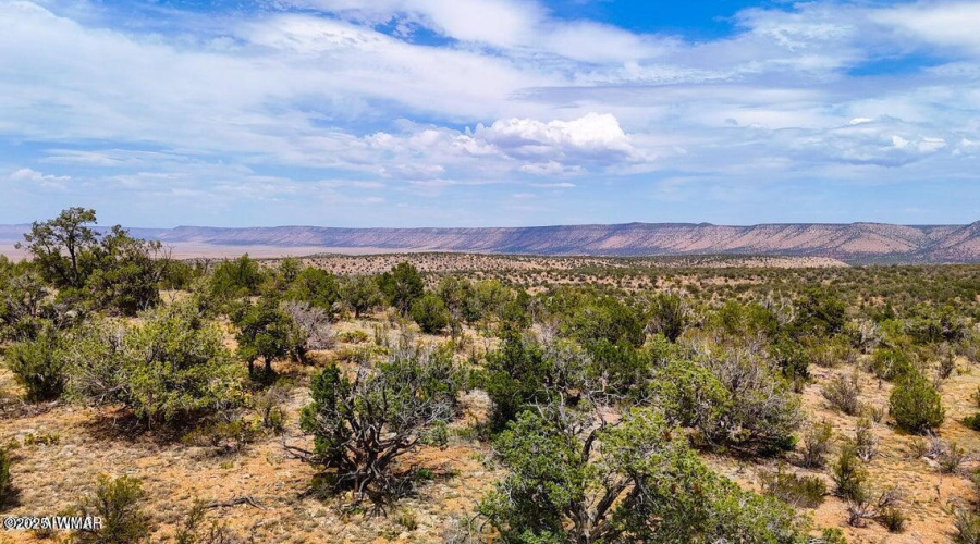 20251016024743976150000000-o