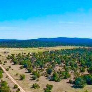 20251016024917334764000000-o