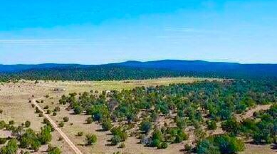 20251016024917334764000000-o