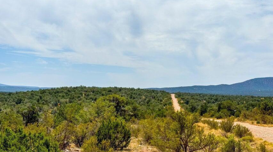 20251016024136092979000000-o