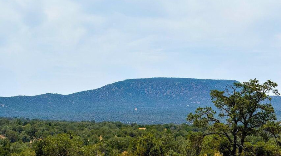 20251016024150011680000000-o