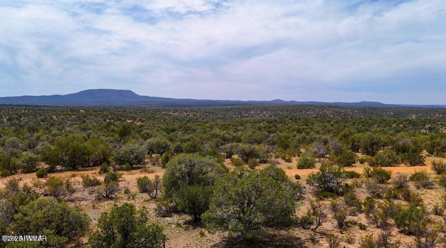 20251016024719397214000000-o