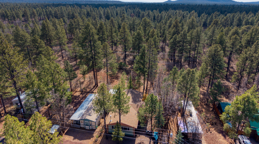 PaxmanPh_DJI_20251115123110_0114_D