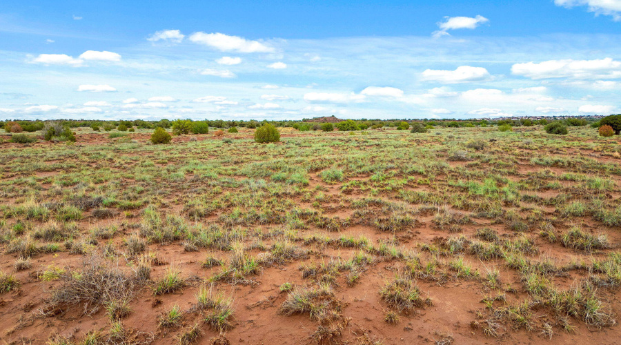 8199YaquiLn-Snowflake-AZ-6