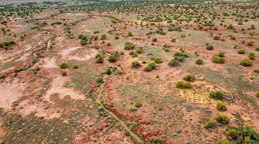 8199YaquiLn-Snowflake-AZ-10