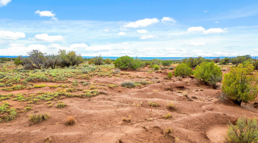 8199YaquiLn-Snowflake-AZ-13