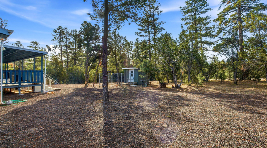 3501AZ277-HeberOvergaard-AZ-5