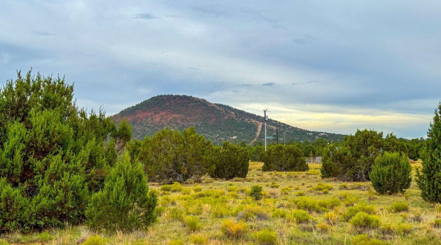 20251107000108597159000000-o