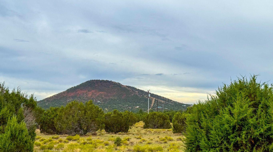 20251107000106680746000000-o