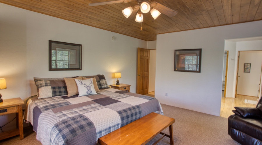 Paxmanphoto_PAX_3624