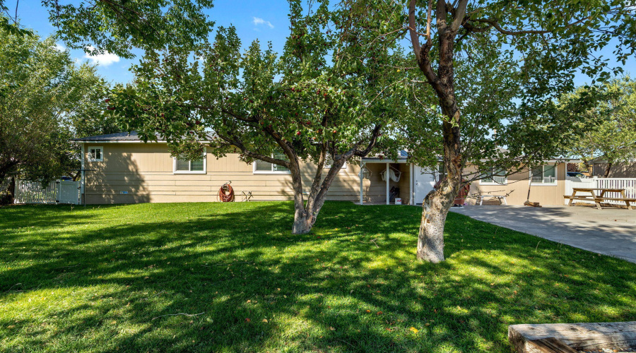 307E5thAve-Eagar-AZ-29