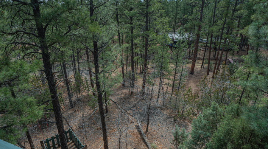 yard and hoa property