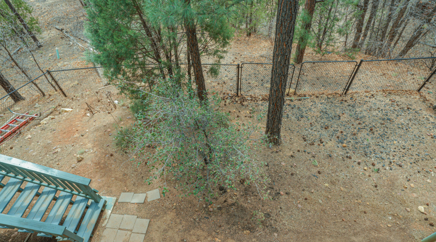 fenced in yard for pets