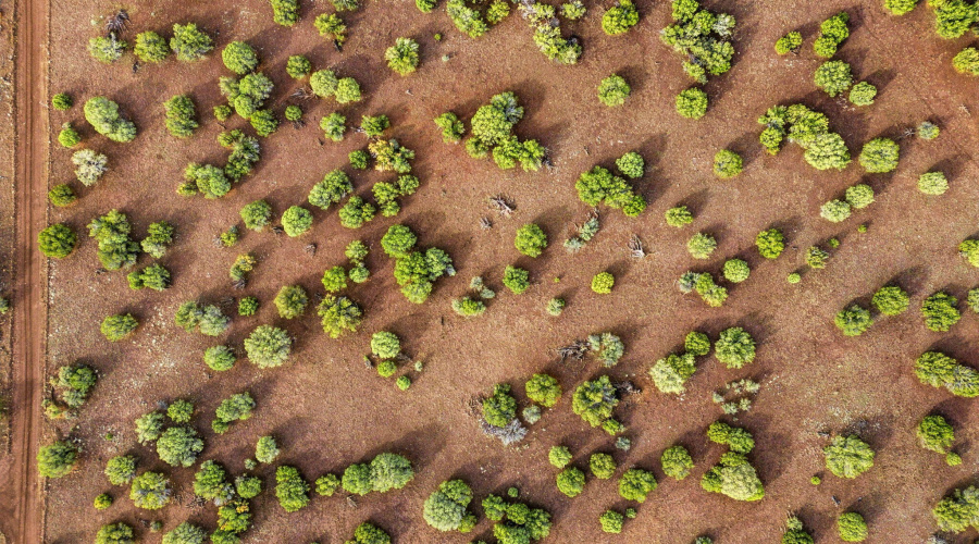 Parcel30411016LN-ShowLowAZ-11