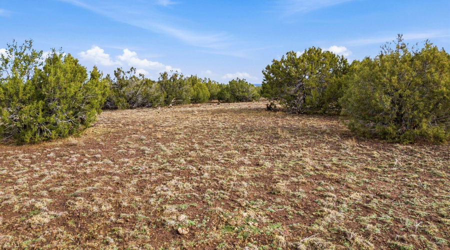 Parcel30411016LN-ShowLowAZ-13