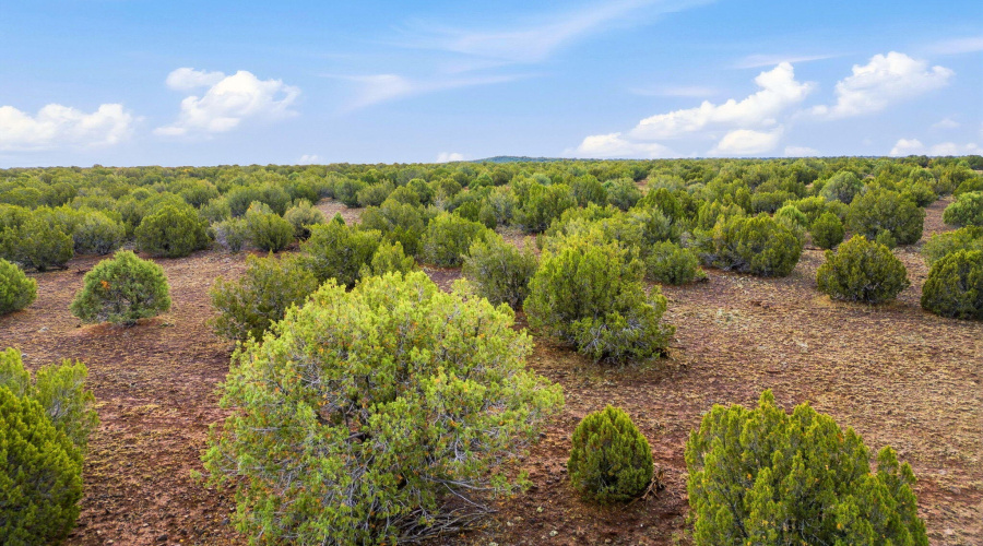 Parcel30411016LN-ShowLowAZ-14