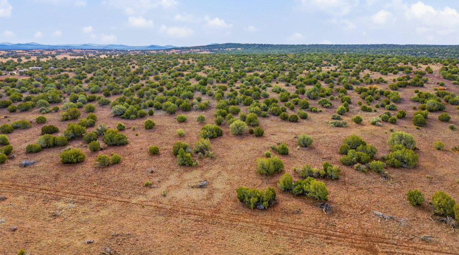 Parcel30411016LN-ShowLowAZ-15