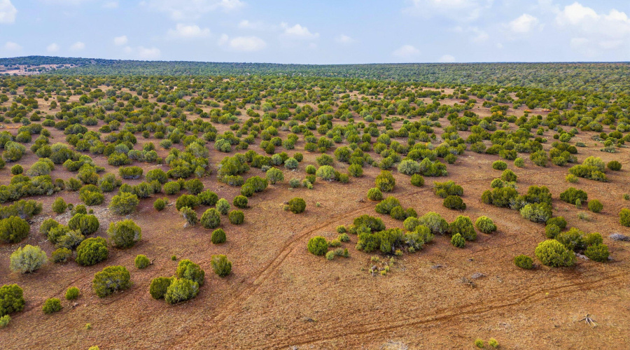 Parcel30411016LN-ShowLowAZ-16