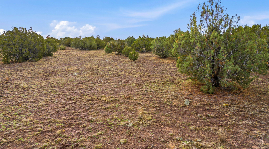 Parcel30411016LN-ShowLowAZ-17