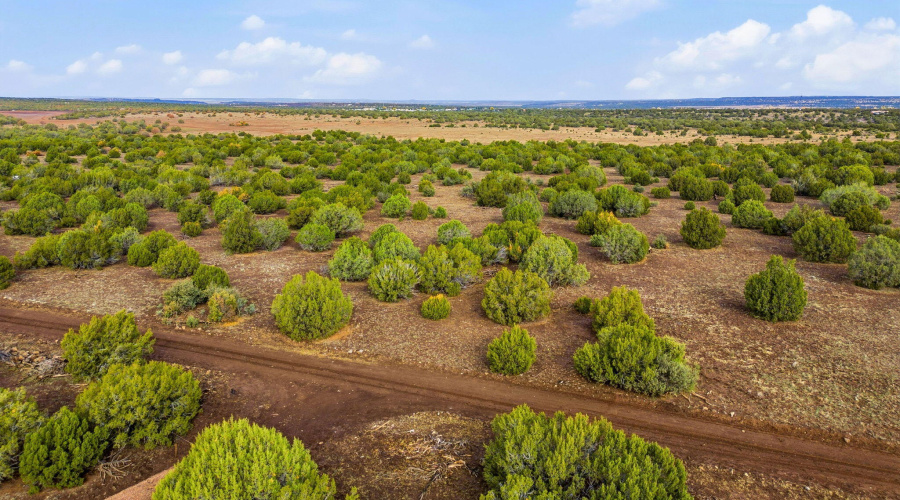 Parcel30411016LN-ShowLowAZ-18