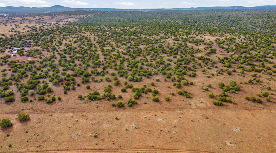 Parcel30411016LN-ShowLowAZ-6