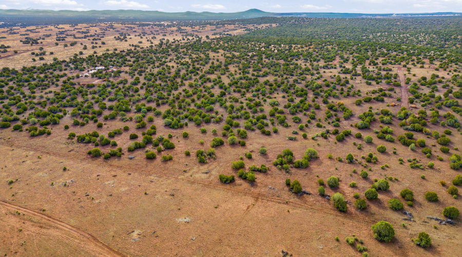 Parcel30411016LN-ShowLowAZ-7