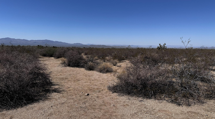 20250913_183458745_iOS