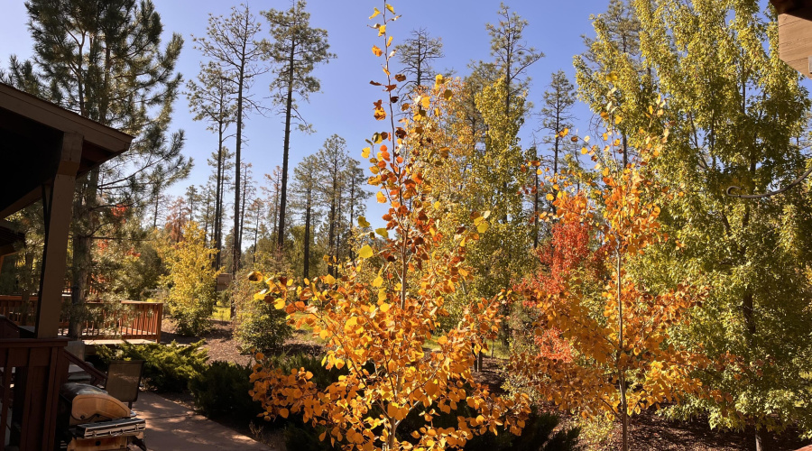 5410 N Saint Andrews Drive, Lakeside, A