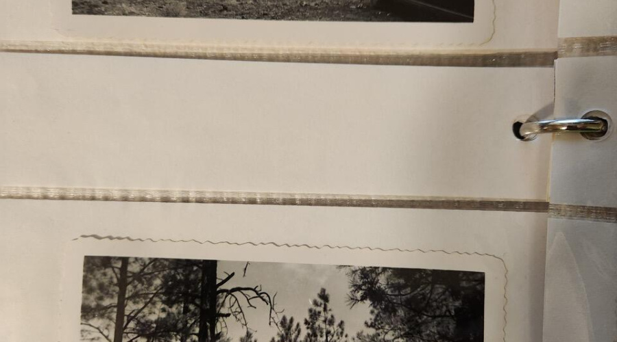 Resized_20251119_184542