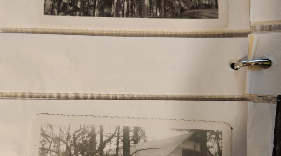 Resized_20251119_184558