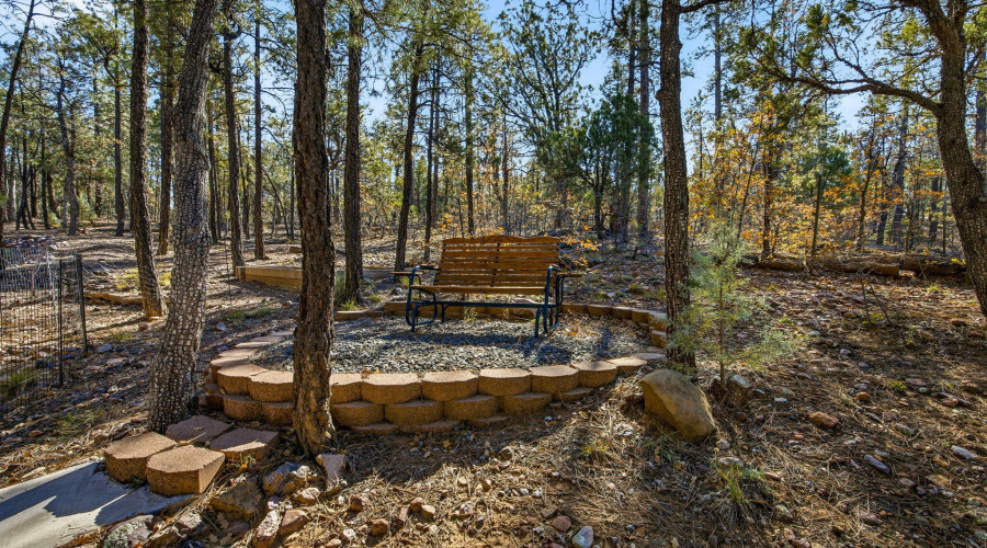 4340SMogollonTrl-ShowLow-AZ-26