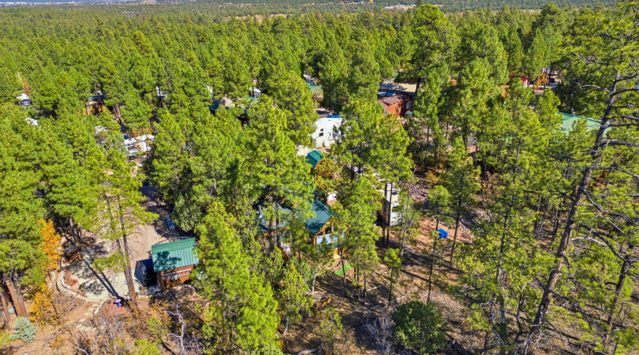 4340SMogollonTrl-ShowLow-AZ-29