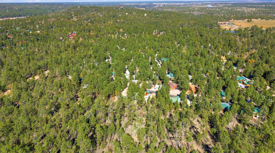 4340SMogollonTrl-ShowLow-AZ-31