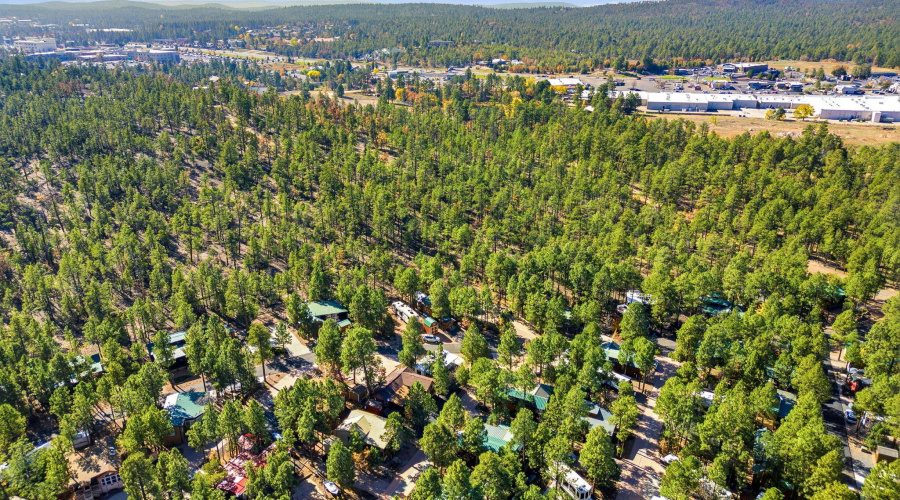 4340SMogollonTrl-ShowLow-AZ-27