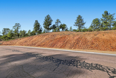 1302 Karen Way, Payson, Arizona 85541, ,Land,For Sale,Karen,93174