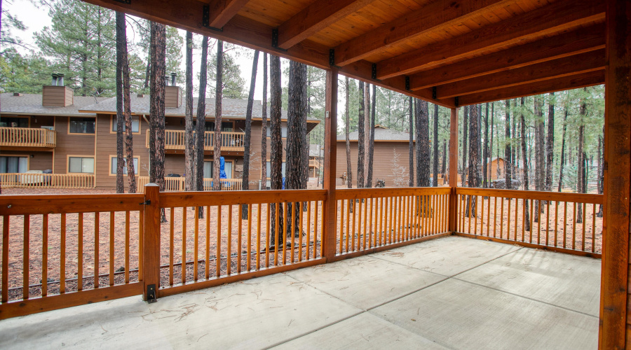 Covered Back Patio