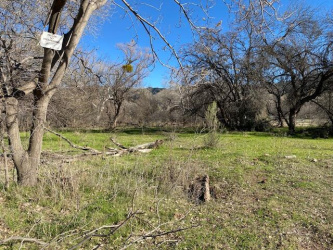 TBD Tonto Creek Drive, Payson, Arizona 85541, ,Land,For Sale,Tonto Creek,93175