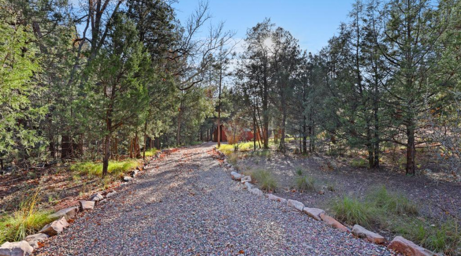 Gravel driveway to Cabin