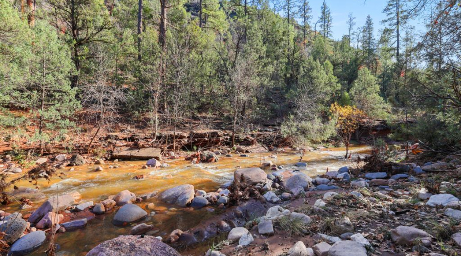 Webber Creek in your backyard