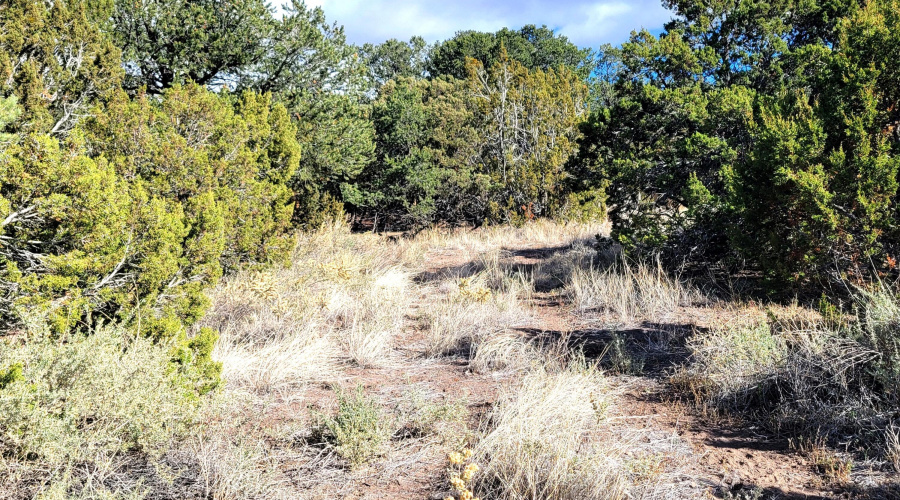 VIEW FROM SPANISH TRAIL
