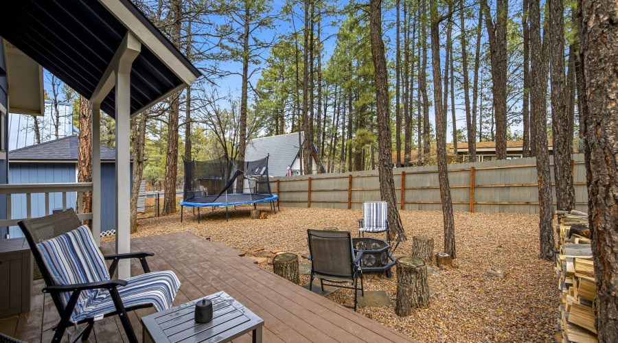 4041AntlerLn-ShowLow-AZ-22