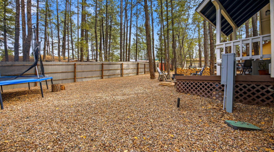 4041AntlerLn-ShowLow-AZ-23