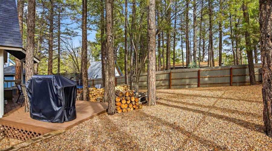 4041AntlerLn-ShowLow-AZ-24