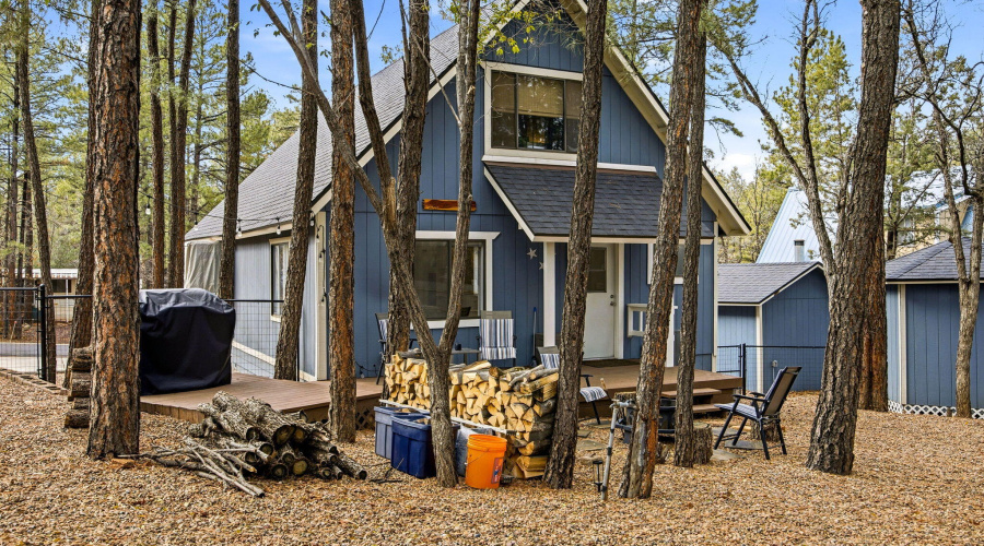 4041AntlerLn-ShowLow-AZ-28