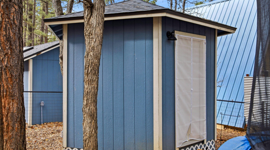 4041AntlerLn-ShowLow-AZ-29