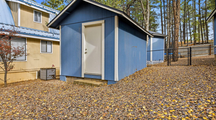 4041AntlerLn-ShowLow-AZ-31