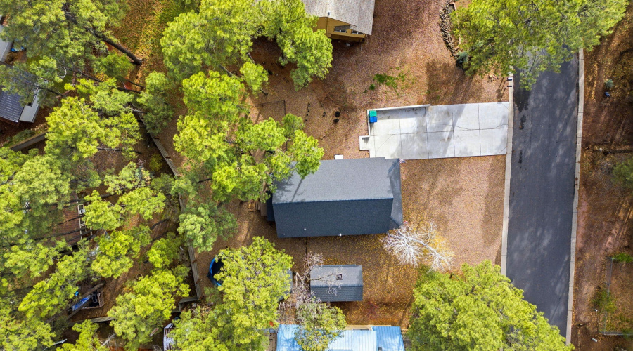 4041AntlerLn-ShowLow-AZ-32